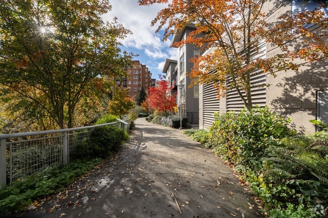 Patio - Thornton Place