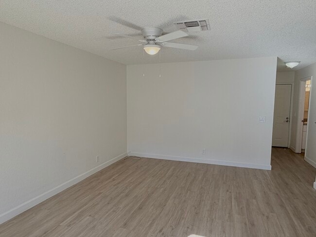 Photo - Le Tournesol