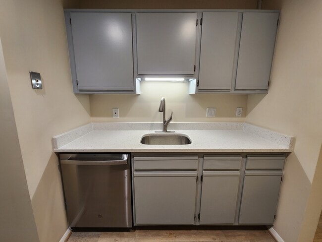 Brand-new countertops, sink, and dishwasher - 7908 Pearlbush Dr Unit 102