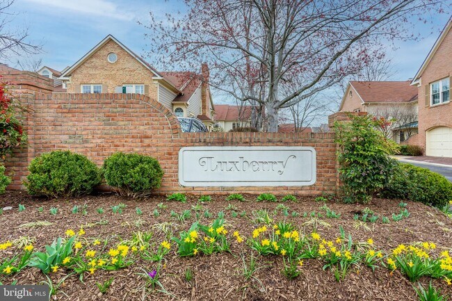 Townhomes For Rent In Rockville Md Forrent Com