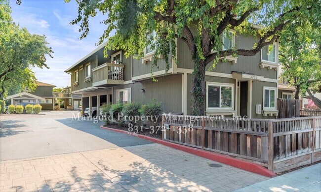 Spacious and Cozy Condo In Willow Glen - R... - Spacious and Cozy Condo In Willow Glen - R... Unit #201
