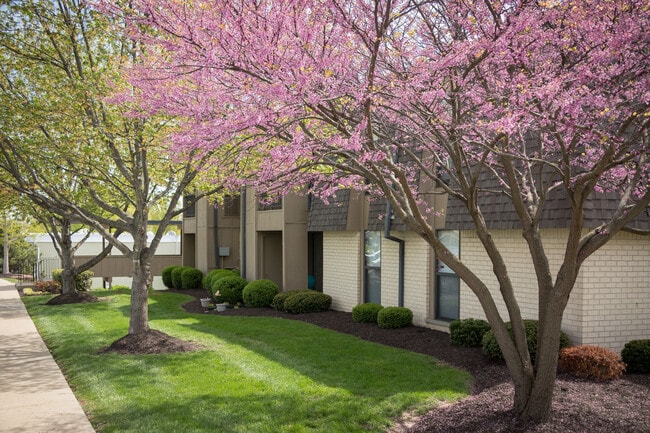 Building Photo - Chesterfield Place Rental