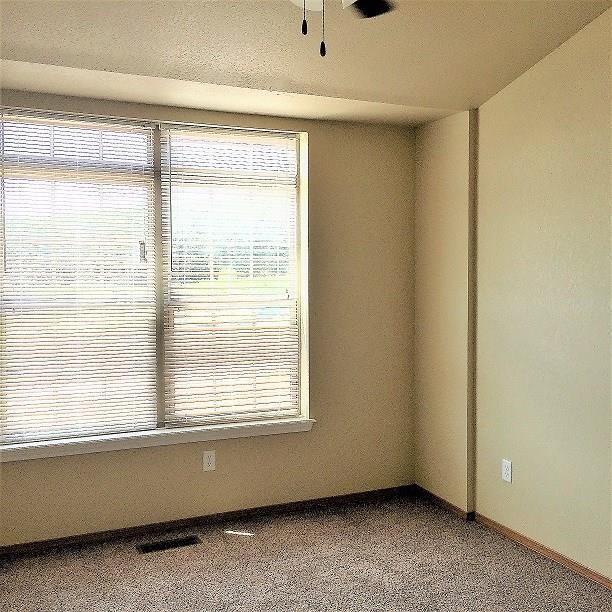 Photo - 254 S Slopeside Dr