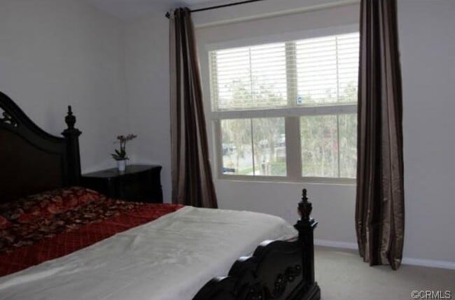 Photo - 24 Hedge Bloom