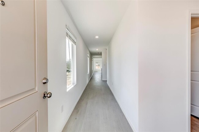 Photo - 177 Pink Footed Pass