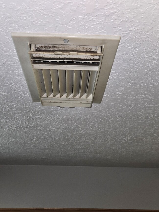 Photo - 938 Birnham Woods Blvd