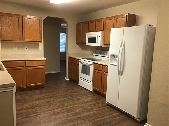 Photo - 12647 Sunny Wonder