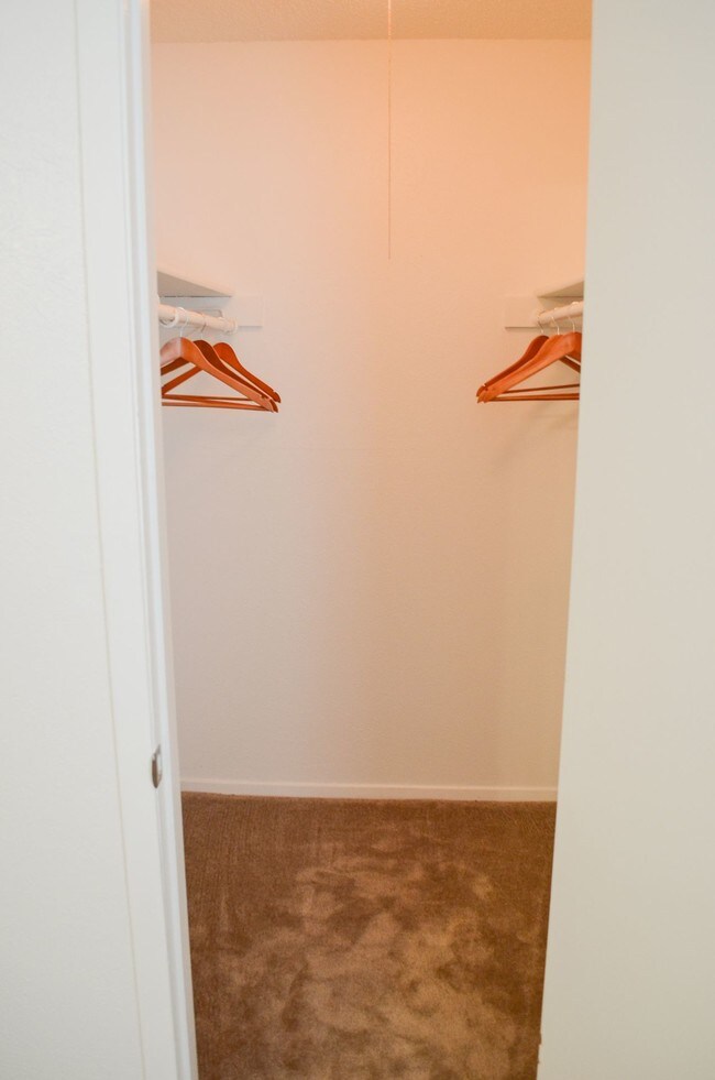 Arbor Creek Apartments Wichita Falls, TX