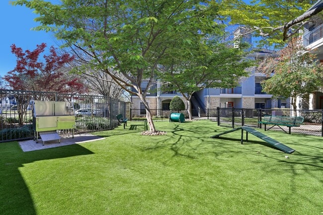 Dog Park - City Park in the Heights