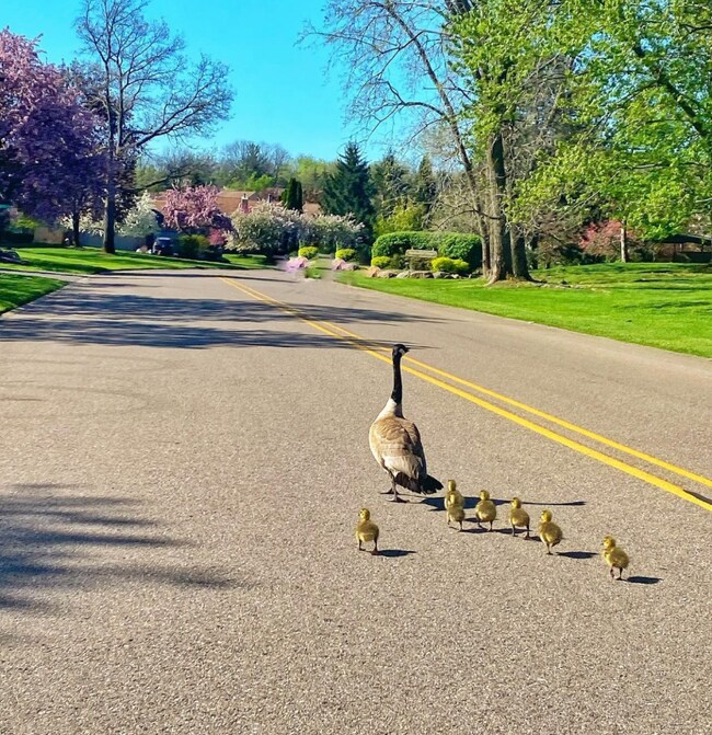 Photo - 29822 Indian Trail