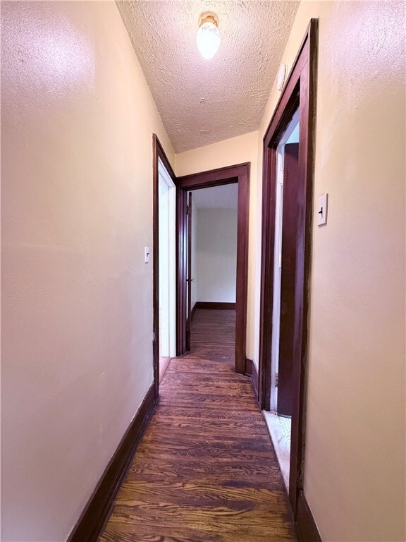 Photo - 34 Terrace Park