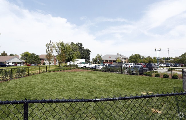 Pet Area