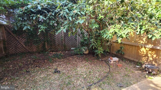 Photo - 459 M St NW Unidad C