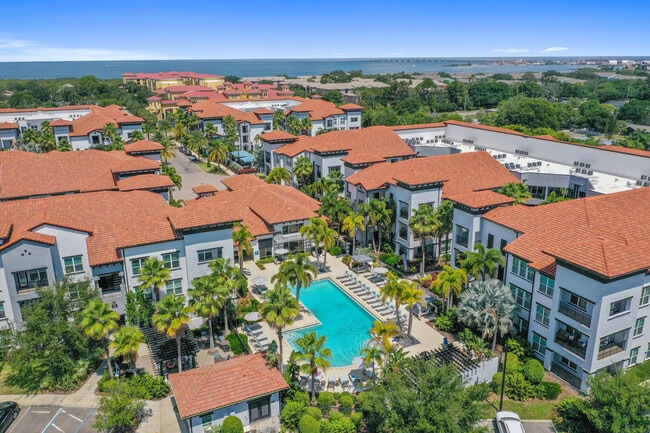 Aerial - Amelia at Westshore Rental