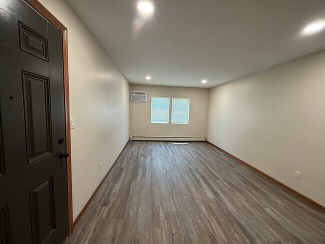 Family Room - 1322 W Montrose St Unit 1