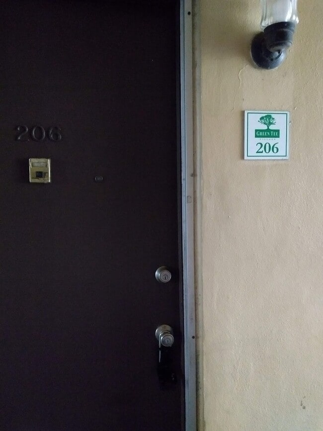 Photo - Green Tee - # 206 Unidad 1