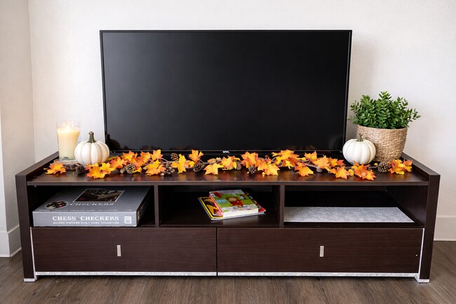 Photo - 2811 Dracena St Unit 2811 Dracena St