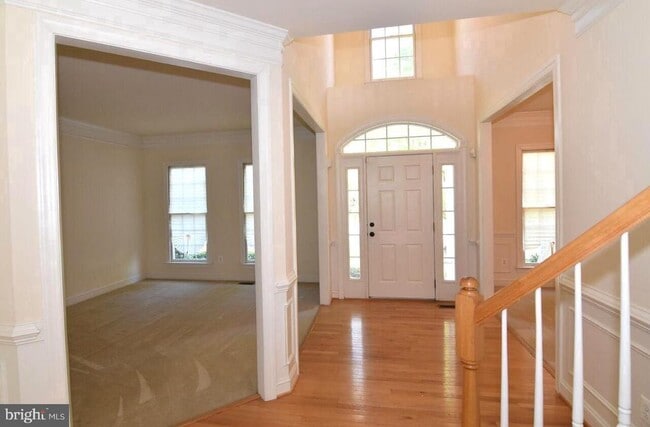 Photo - 4619 Beaufont Spring Ct