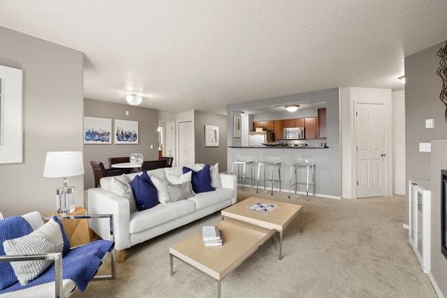 Photo - Baseline Woods