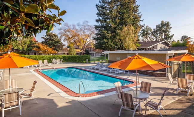 Large Resort-Style Pool - Parkwood Apartments