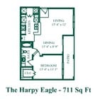 The Harpy Eagle