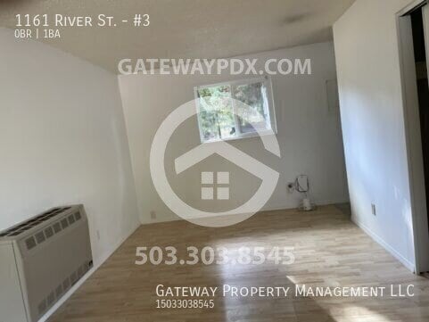 1161 River St