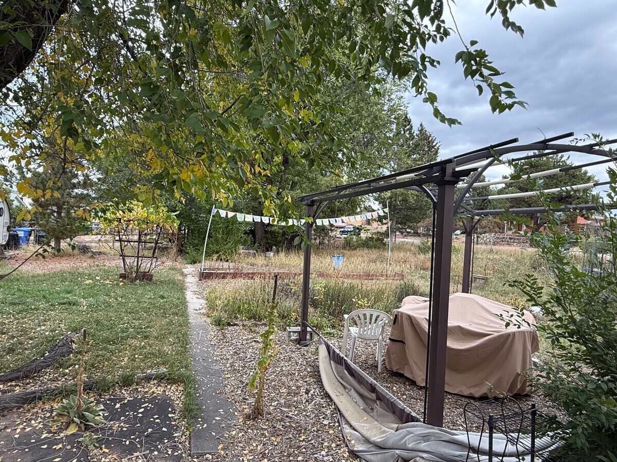 Backyard 2 of 2 LARGE! - 2168 Pheasant Pl