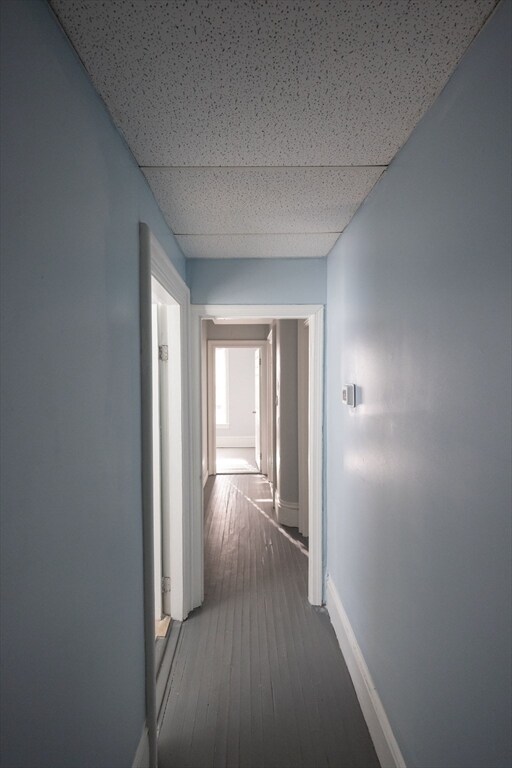 Photo - 10 Sycamore St Unidad 2