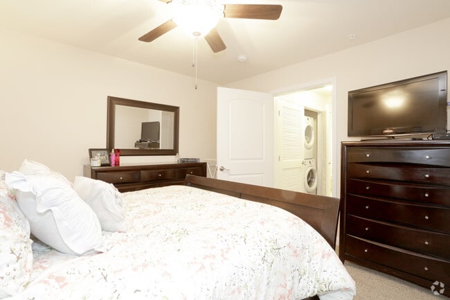 1 Bedroom - Bedroom