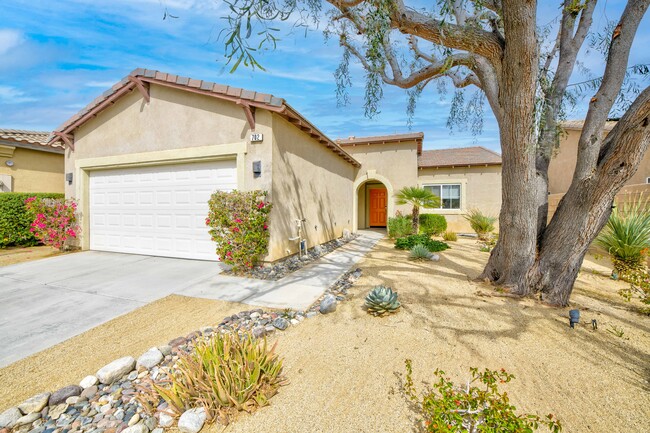 Desert Landscaping - 702 Summit Dr House