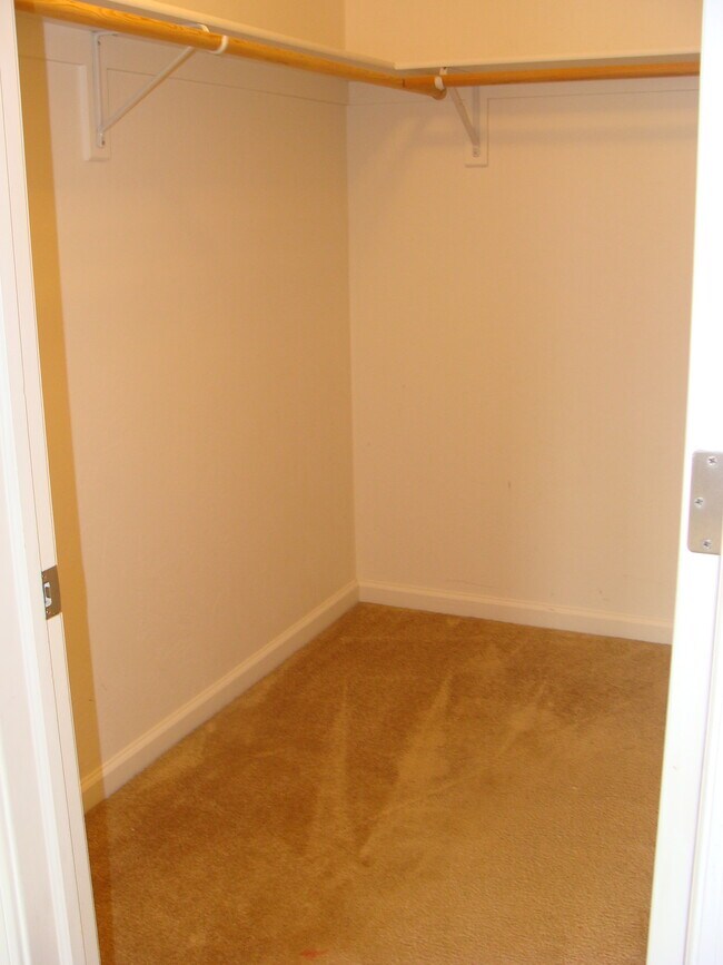 300 Chatfield Ln Townhome For Rent in Gypsum, CO