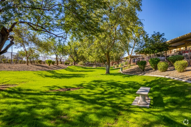 DOG PARK