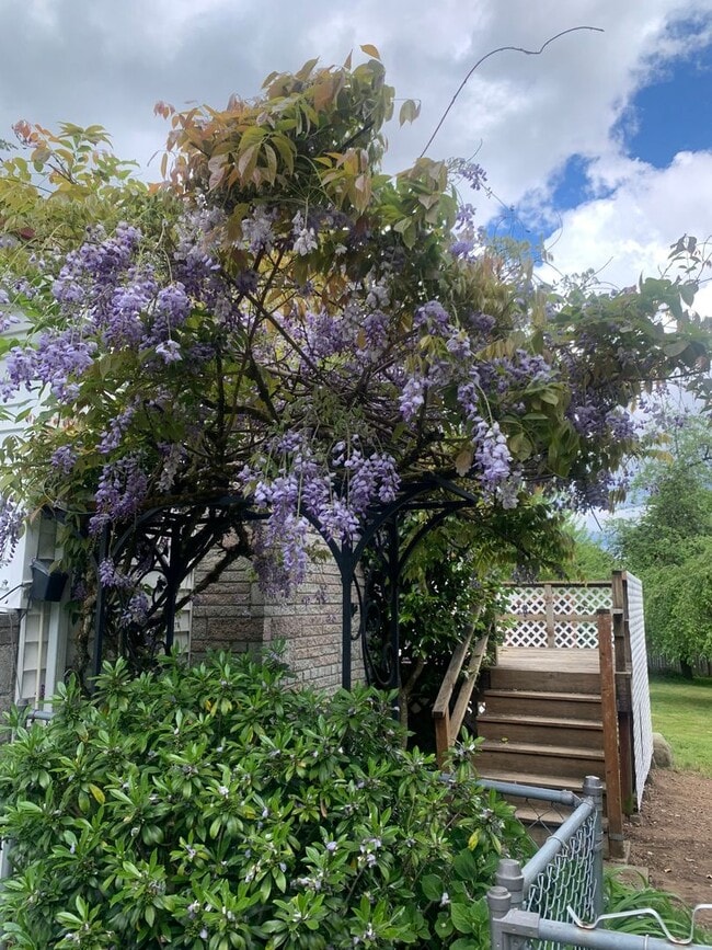 Photo - Spacious and bright