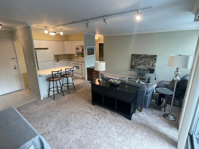 Photo - 30 E Elm St Unit 4F