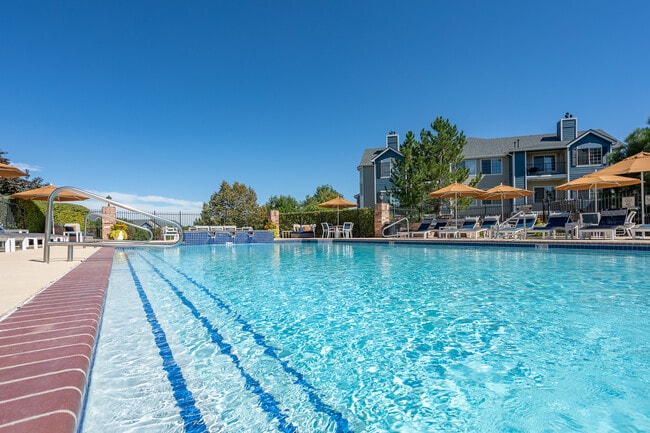 Pool - Avana Eastlake