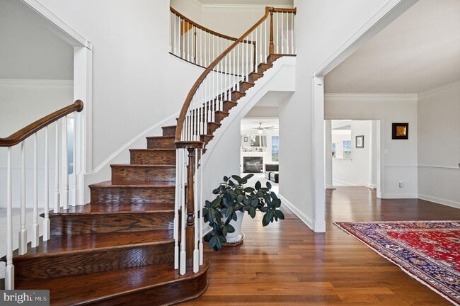 Photo - 23222 Hemmingford Cir
