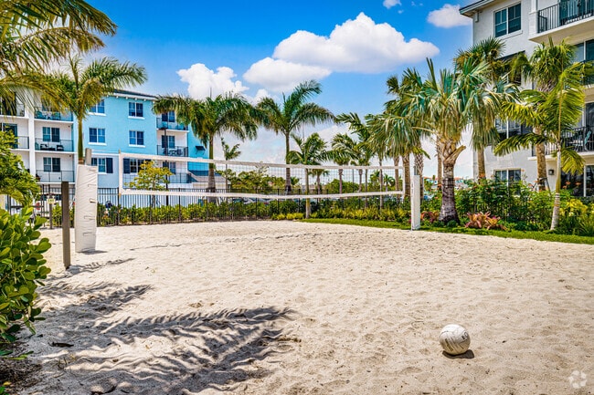 Cancha de vóleibol - Sea Lofts at Boynton Village