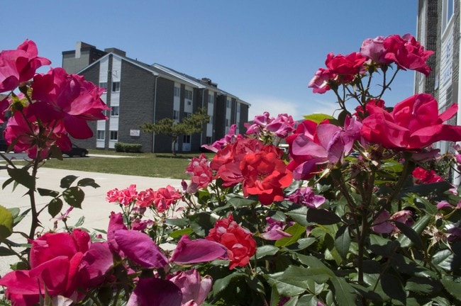 Building Photo - Carolina Village Rental