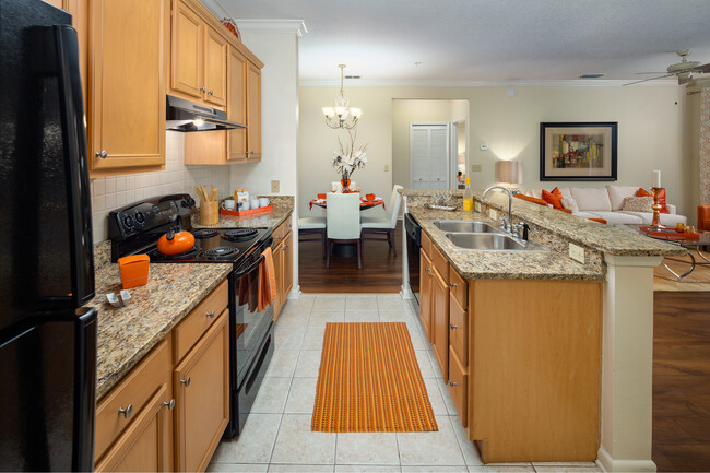 Kitchen - The Lakes at Brandon West Apartments