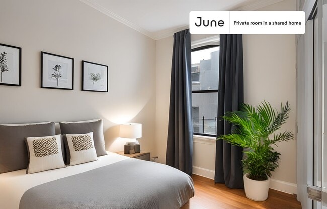 Private bedroom in 4 bed/1 bath Home - Private bedroom in 4 bed/1 bath Home Unit D