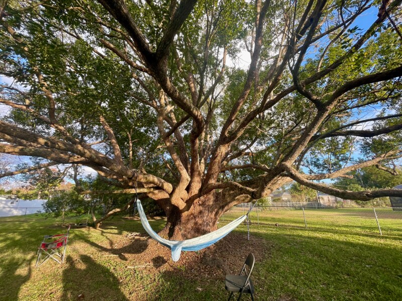 Photo - 950 Hedgewood Ct