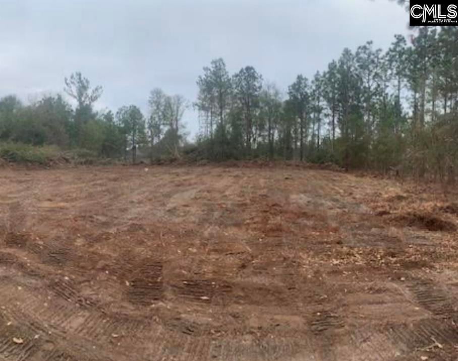 Photo - 1257B-1 Old Orangeburg Rd