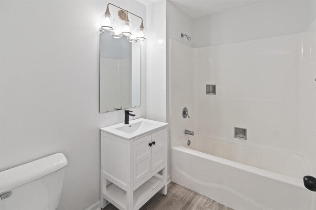 Photo - Autumn Woods