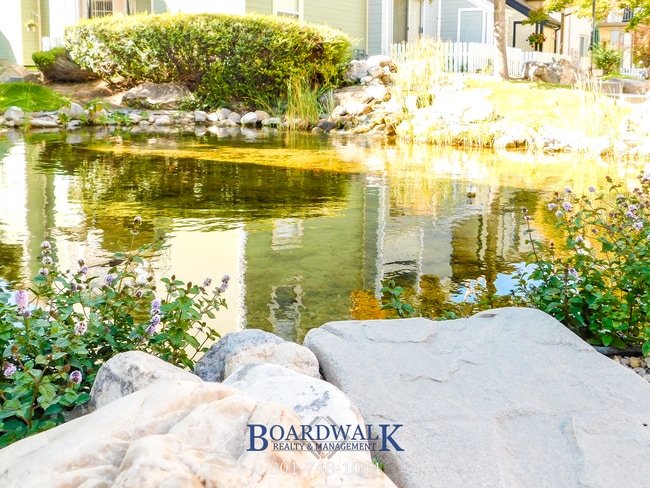 Photo - Charming 1-Bedroom Gem