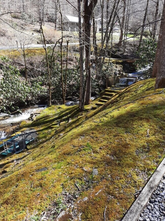 Photo - $1,600 - 4 Bedroom 2 Bathroom Furnished Log Cabin on the Creek