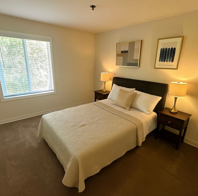 Photo - Camino Creek