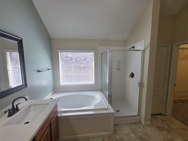 Building Photo - 2954 Smokey Forest Ln