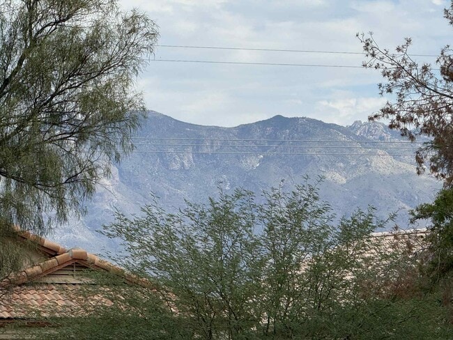 Photo - 2945 Bronze Creek Way