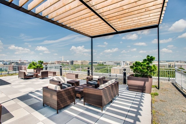 Rooftop at Lex and Leo