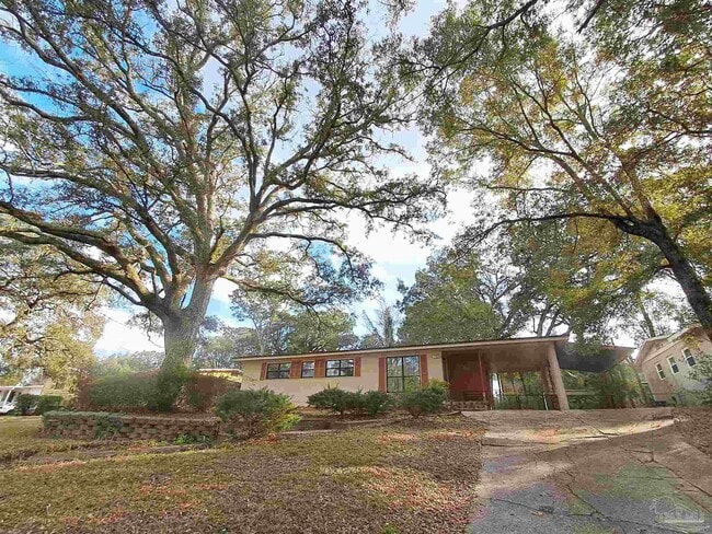 Building Photo - 4929 Springhill Dr